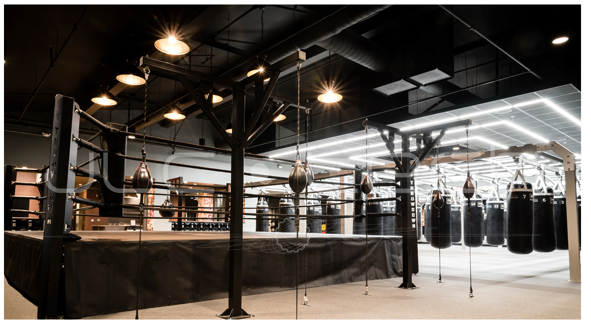 Undisputed Boxing Gym 2