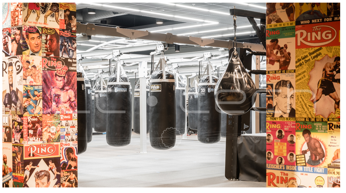Undisputed Boxing Gym 6